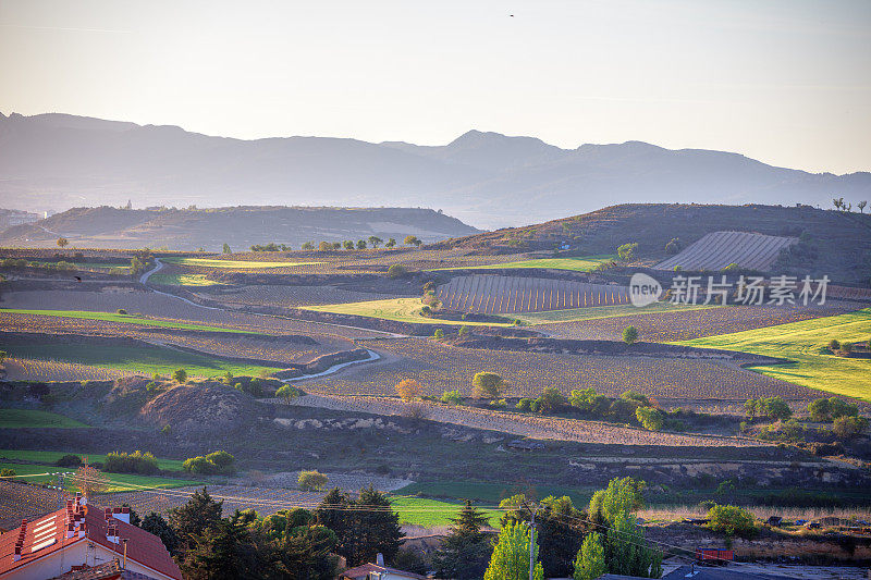 La Rioja，西班牙